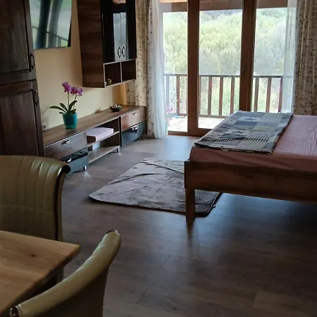Ene Strada Poienari Nr 13 A Orman Evi *