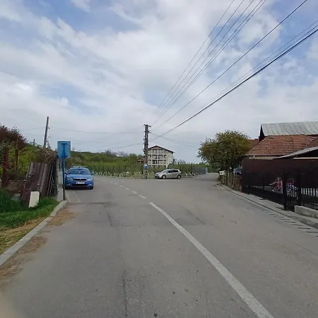 Orman Evi Ene Strada Poienari Nr 13 A